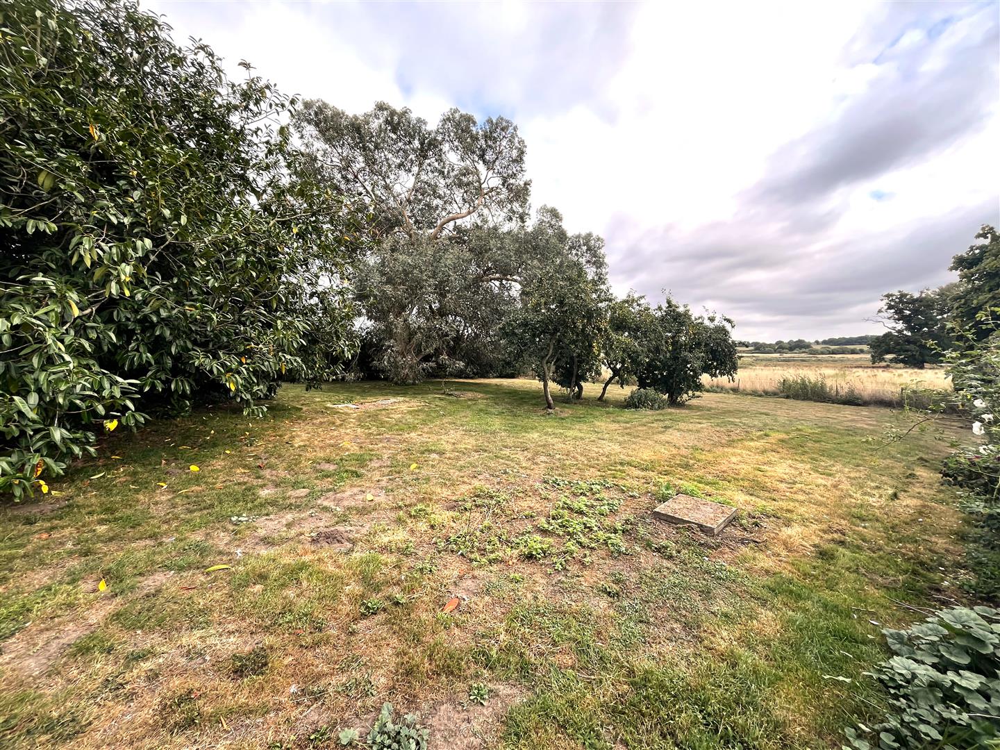 Blyford property photo